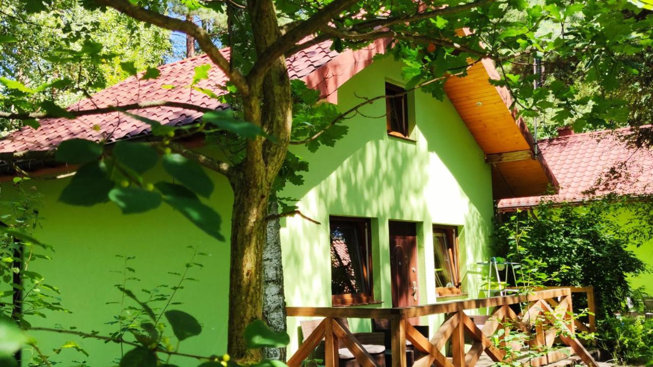 Niezapominajka-Jura Villa Niegowa Kültér fotó