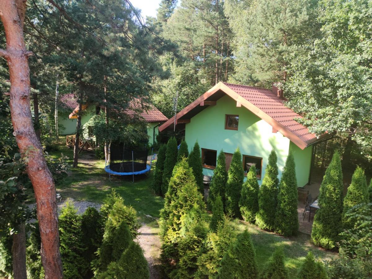 Niezapominajka-Jura Villa Niegowa Kültér fotó