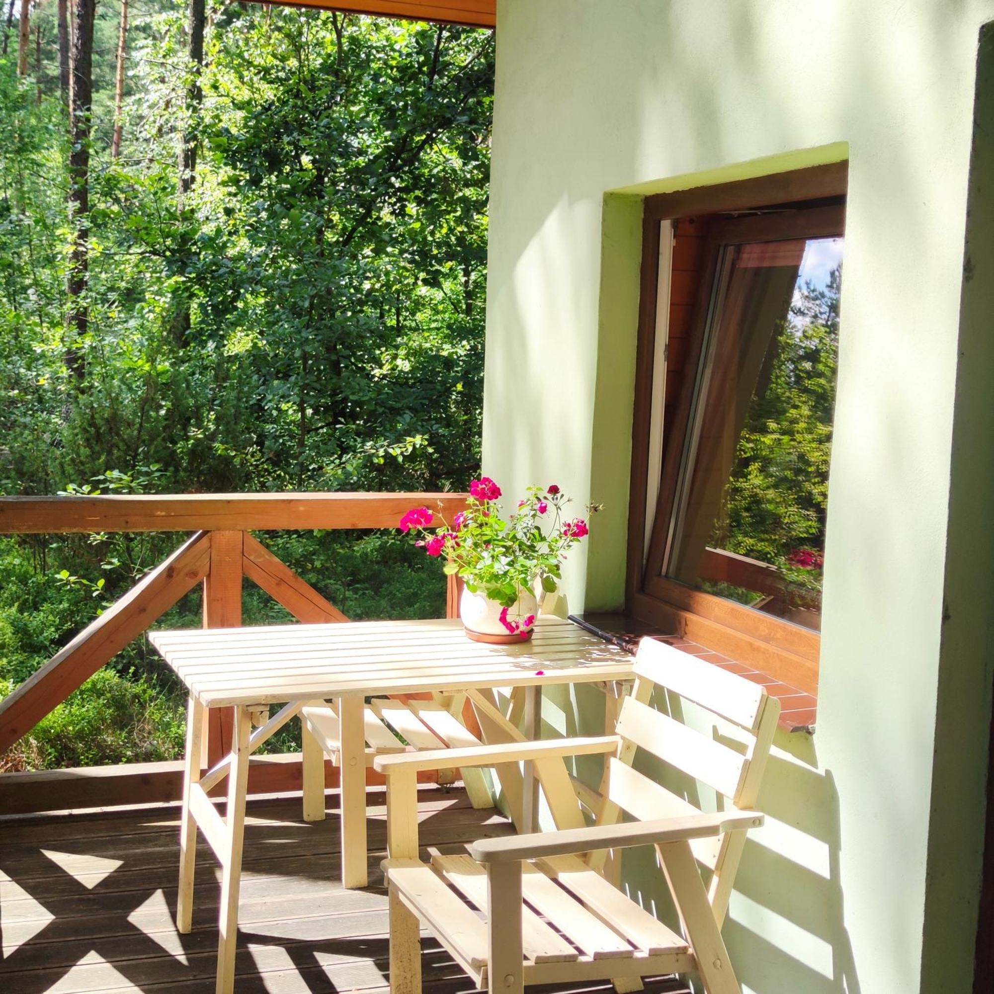 Niezapominajka-Jura Villa Niegowa Kültér fotó